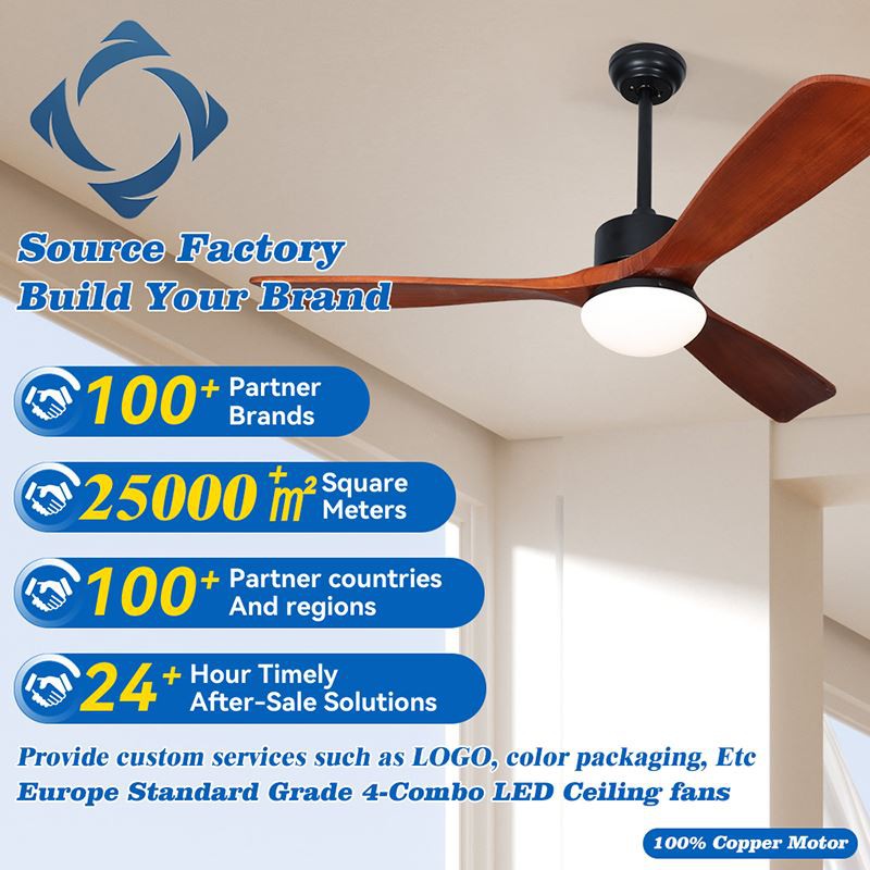 Decorative Fan