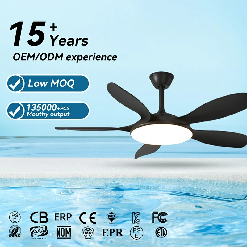 Plastic straight blade fan (3)