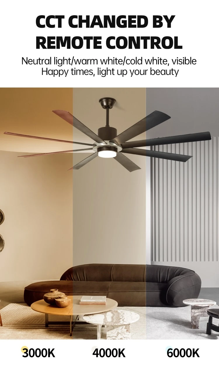 large decorative ceiling fans 13